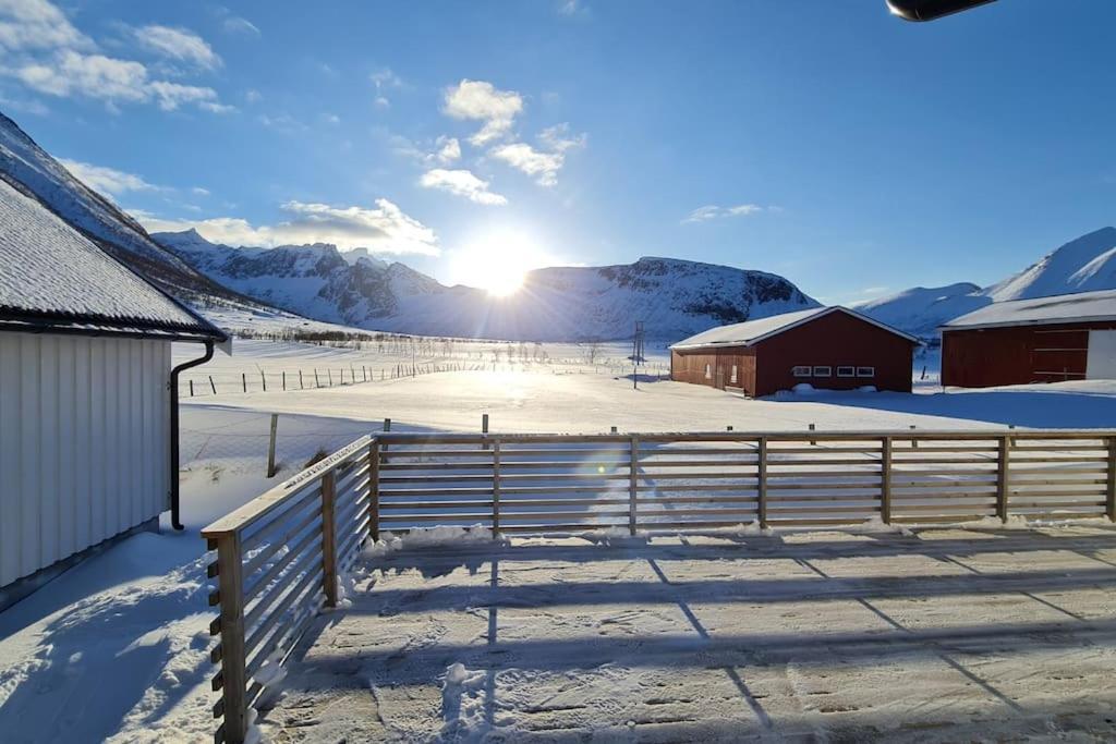 Arctic Lodge Tromvik With Jacuzzi 特罗姆瑟 外观 照片
